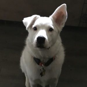 Meet your Posher, Timothy